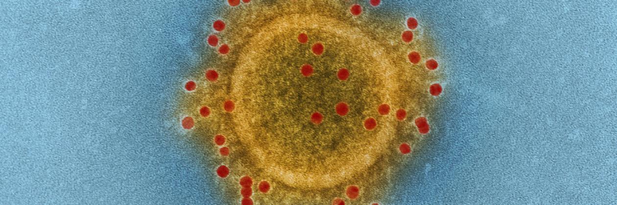 Het nieuwe coronavirus: past je preparedness nog?